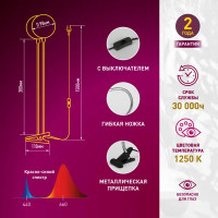 Фитосветильник светодиодный для растений Эра Fito 20W на прищепке 20 Вт красно-синего спектра