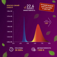 Светодиодная лента для растений Эра fito 2 м 18 Вт 220 В 1800 красно-синего спектра фиолетовый свет влагостойкая