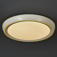 Светильник настенно-потолочный светодиодный влагозащищенный 48019.50.90.77GD 25 м² регулируемая яркость света цвет белый