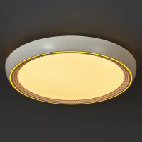 Светильник настенно-потолочный светодиодный влагозащищенный 48019.50.90.77GD 25 м² регулируемая яркость света цвет белый