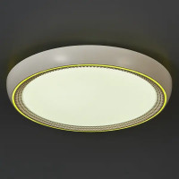 Светильник настенно-потолочный светодиодный влагозащищенный 48019.50.90.77GD 25 м² регулируемая яркость света цвет белый