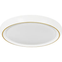 Светильник настенно-потолочный светодиодный влагозащищенный 48019.50.90.77GD 25 м² регулируемая яркость света цвет белый