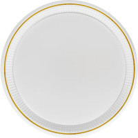 Светильник настенно-потолочный светодиодный влагозащищенный 48019.50.90.77GD 25 м² регулируемая яркость света цвет белый