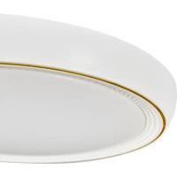 Светильник настенно-потолочный светодиодный влагозащищенный 48019.50.90.77GD 25 м² регулируемая яркость света цвет белый