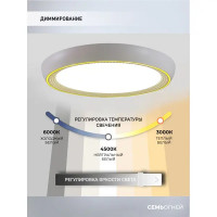 Светильник настенно-потолочный светодиодный влагозащищенный 48019.50.90.77GD 25 м² регулируемая яркость света цвет белый