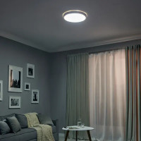 Светильник настенно-потолочный светодиодный влагозащищенный 48019.50.90.77GD 25 м² регулируемая яркость света цвет белый