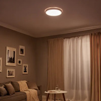 Светильник настенно-потолочный светодиодный влагозащищенный 48019.50.90.77GD 25 м² регулируемая яркость света цвет белый