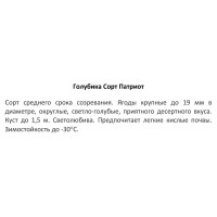 Голубика Патриот ø15 h30 см