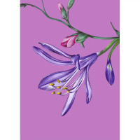 Постер В розовом цвете 30x40 см 2 шт.