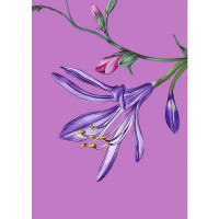 Постер В розовом цвете 21x29.7 см 2 шт.
