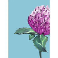 Постер В розовом цвете 21x29.7 см 2 шт.
