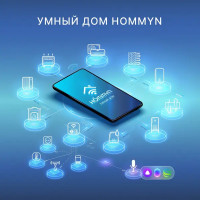 Модуль WI-Fi Hommyn HDN/WFN-02-01 универсальный съёмный управляющий