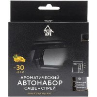 Автонабор ароматический Arida Home Виноград мускат, 10 мл