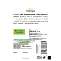 Семена цветов Поиск нивяник Пломбир