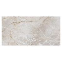Керамогранит Leopard Marb silve 60x120 см 1.44 м² глянцевый цвет коричневый