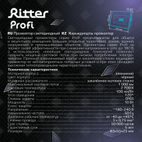 Прожектор светодиодный уличный Ritter Profi 10 Вт 2700К IP65 теплый белый свет