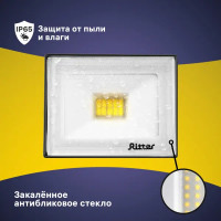Прожектор светодиодный уличный Ritter Profi 20 Вт 2700К IP65 теплый белый свет