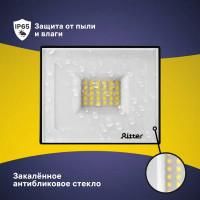 Прожектор светодиодный уличный Ritter Profi 30 Вт 2700К IP65 теплый белый свет