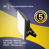 Прожектор светодиодный уличный Ritter Profi 30 Вт 2700К IP65 теплый белый свет