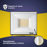 Прожектор светодиодный уличный Ritter Profi 50 Вт 2700К IP65 теплый белый свет