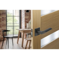 Дверные ручки Edson PS9Q2, без запирания, цвет графит