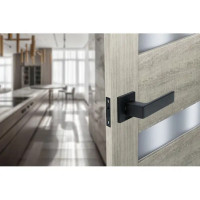 Дверные ручки Edson P10Q2, без запирания, цвет черный
