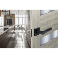 Дверные ручки Edson P12Q1, без запирания, цвет черный