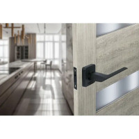 Дверные ручки Edson P13Q1, без запирания, цвет черный