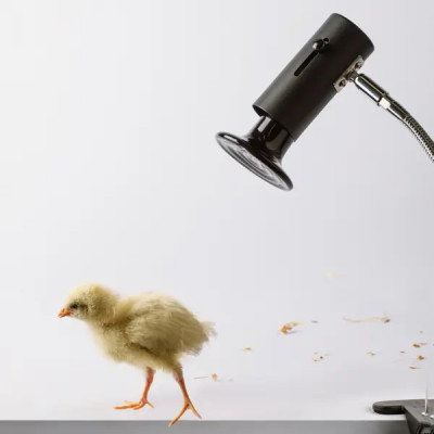 Лампа для террариума Эра e27x250w на прищепке