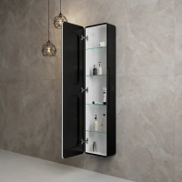Шкаф зеркальный подвесной Perfect с подсветкой 36x156 см цвет черный