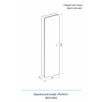 Шкаф зеркальный подвесной Perfect с подсветкой 36x156 см цвет черный