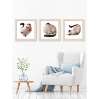 Модульная картина Смешные коты 40x40 см 3 шт.
