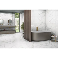 Керамогранит Arcadia Ceramica Paradise Statuario 60x120 см 1.44 м² матовый цвет белый