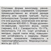 Виноград плодовый Надежда АЗОС h60 см