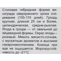 Виноград плодовый Ливия h60 см