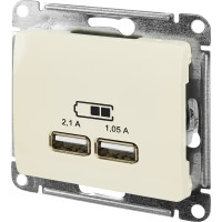 Розетка USB встраиваемая Schneider Electric Glossa цвет бежевый