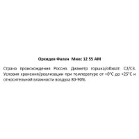 Фаленопсис 1 ствол ø12 h55 см