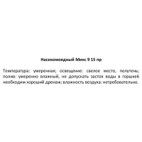 Насекомоядный микс ø9 h10 см