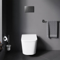 Унитаз подвесной AM.PM Moxie Flash Clean C9M1700SC, безободковый, с сиденьем микролифт