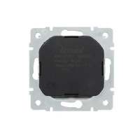 Розетка USB двойная встраиваемая Lezard Vesna 742-3588-181 с заземлением цвет платина