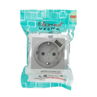 Розетка USB двойная встраиваемая Lezard Vesna 742-3588-181 с заземлением цвет платина