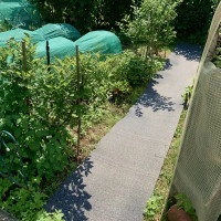 Тротуарная противоскользящая дорожка Alegria outdoor 2500х600х5 мм