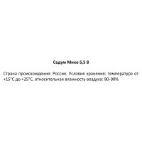 Седум микс ø5.5 h8 см