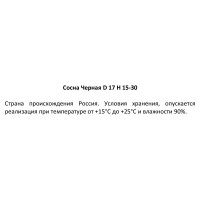 Сосна черная ø17 h15 - 30 см