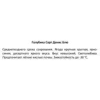 Голубика Денис Блю ø15 h30 см