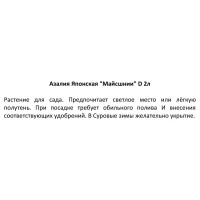 Азалия японская Майсшнии h15