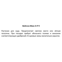 Вейгела микс ø9 h15