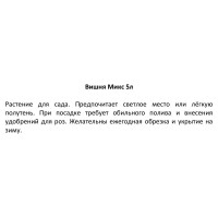 Вишня микс h50 см