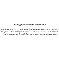 Тис ягодный Фастигиата Робуста ø9 h15 см