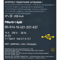 Розетка USB встраиваемая IEK Brite РЮш10-1-БрШ с заземлением цвет шампань